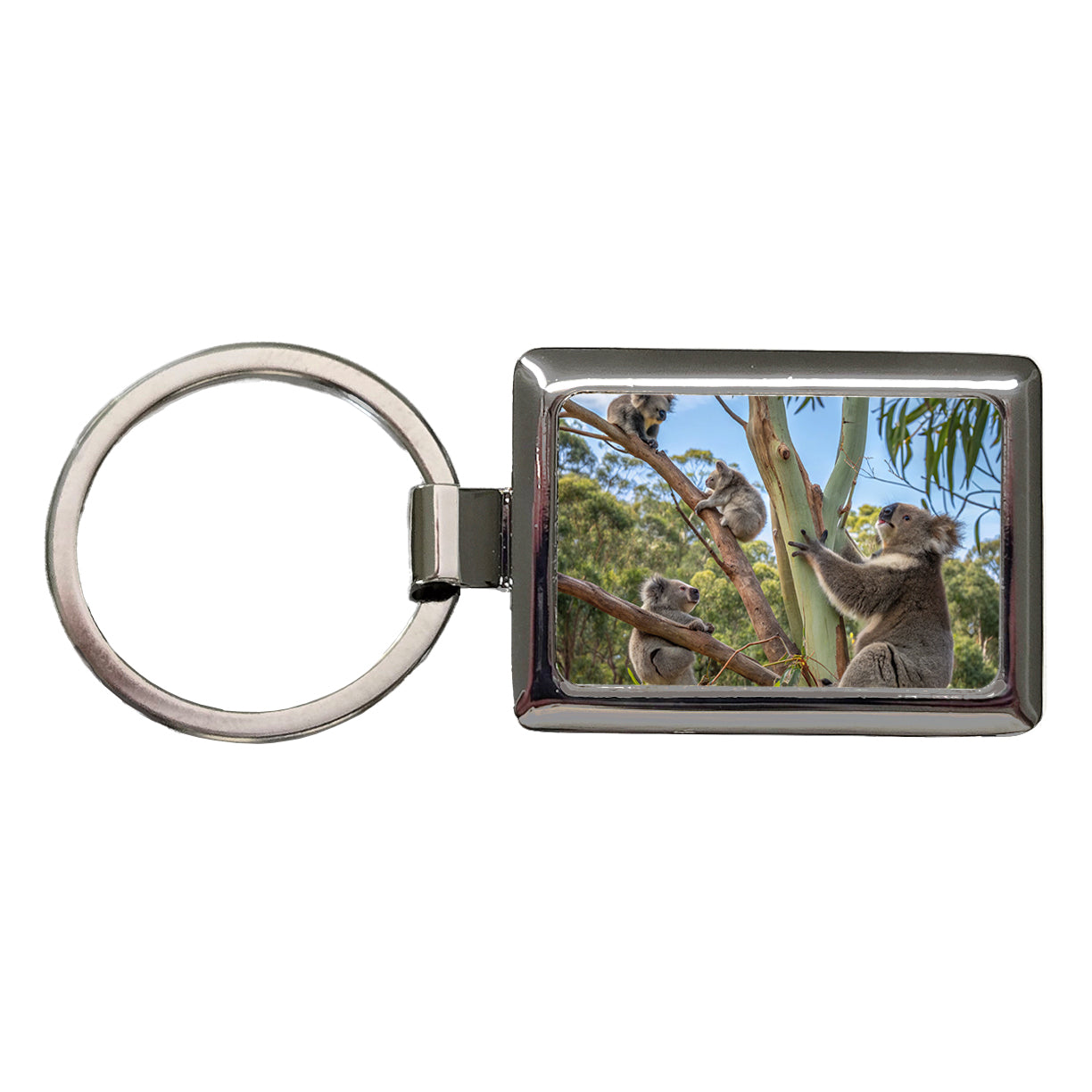 Bunch Of Koalas Rectangle Metal Keychain