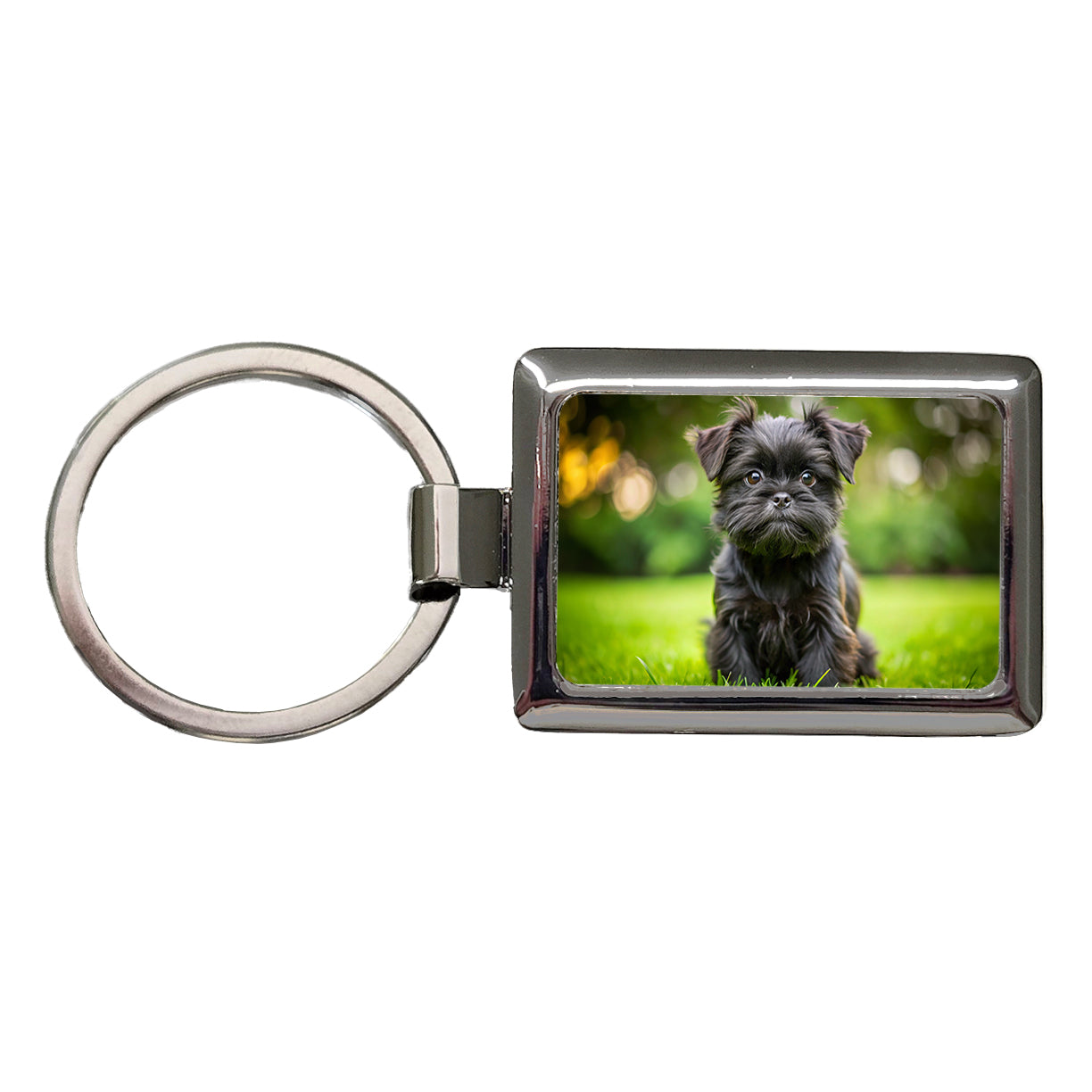 Affenpinscher Dog Puppy Photo Rectangle Metal Keychain