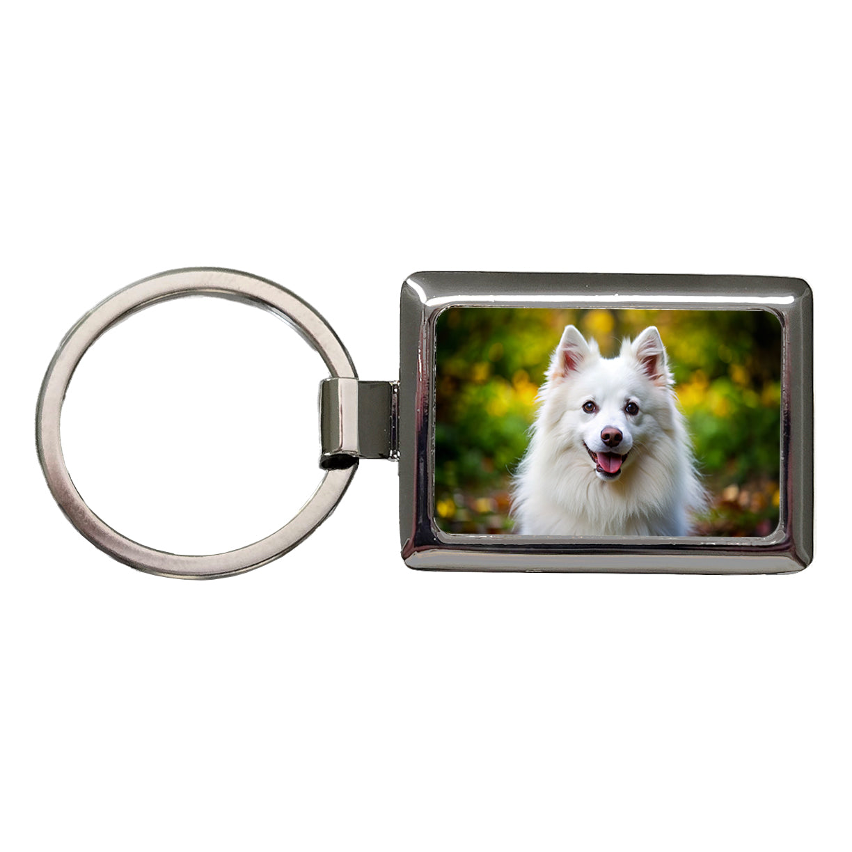 American Eskimo Dog Photo Rectangle Metal Keychain