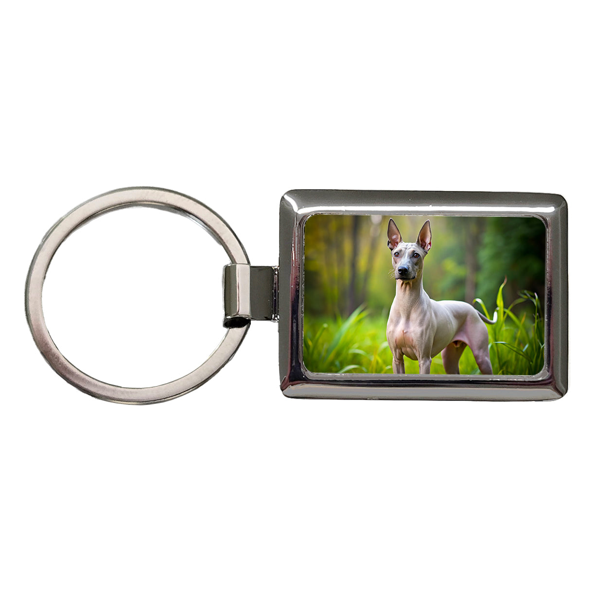 American Hairless Terrier Dog Photo Rectangle Metal Keychain
