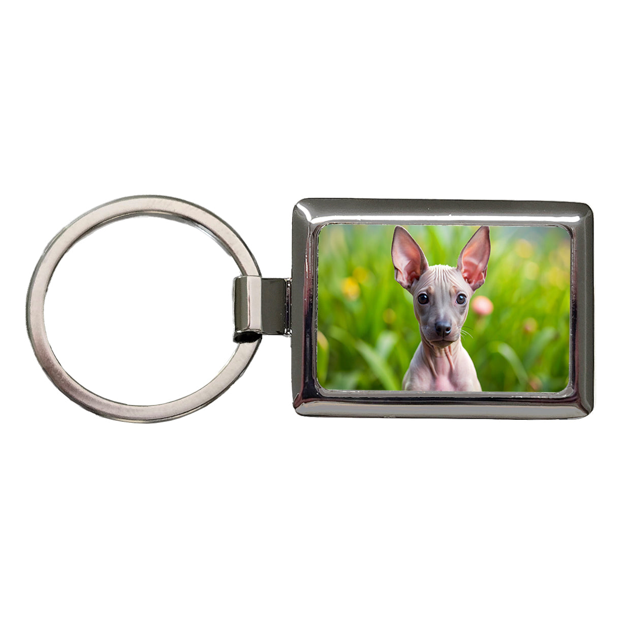 American Hairless Terrier Dog Puppy Photo Rectangle Metal Keychain