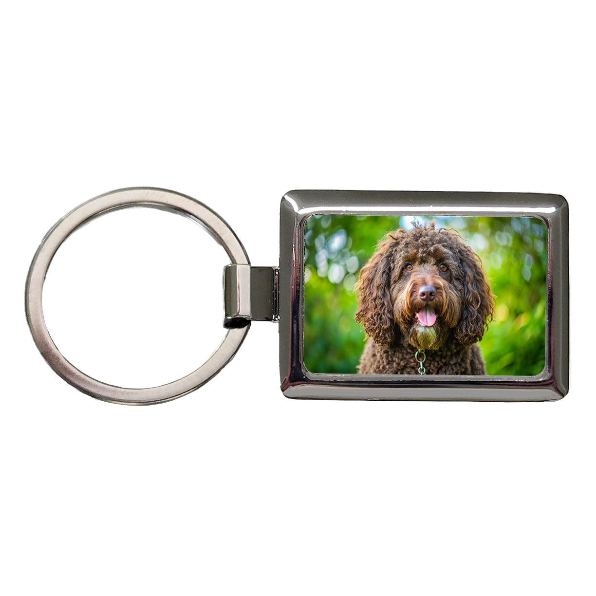 Barbet Dog Photo Rectangle Metal Keychain