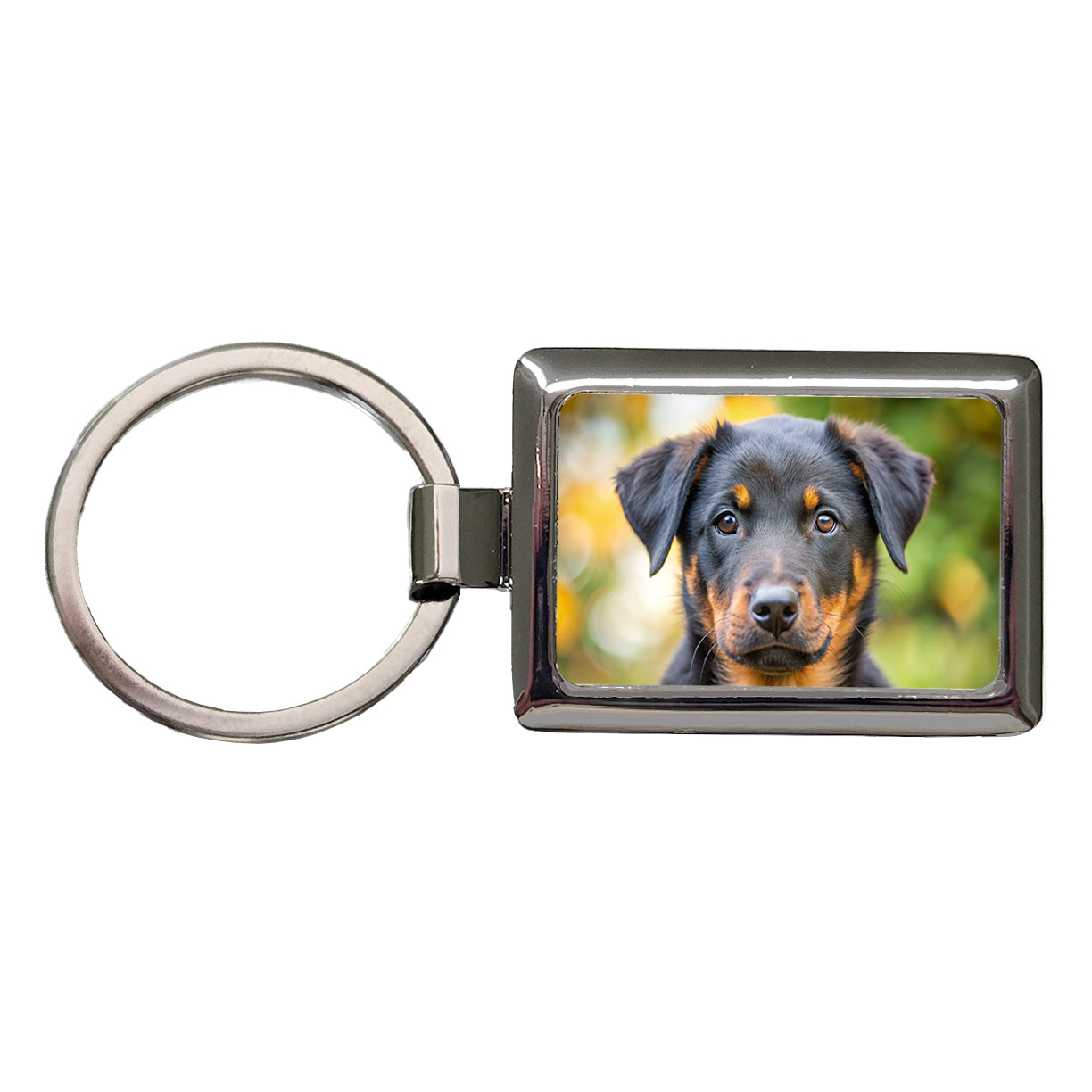 Beauceron Dog Puppy Photo Rectangle Metal Keychain