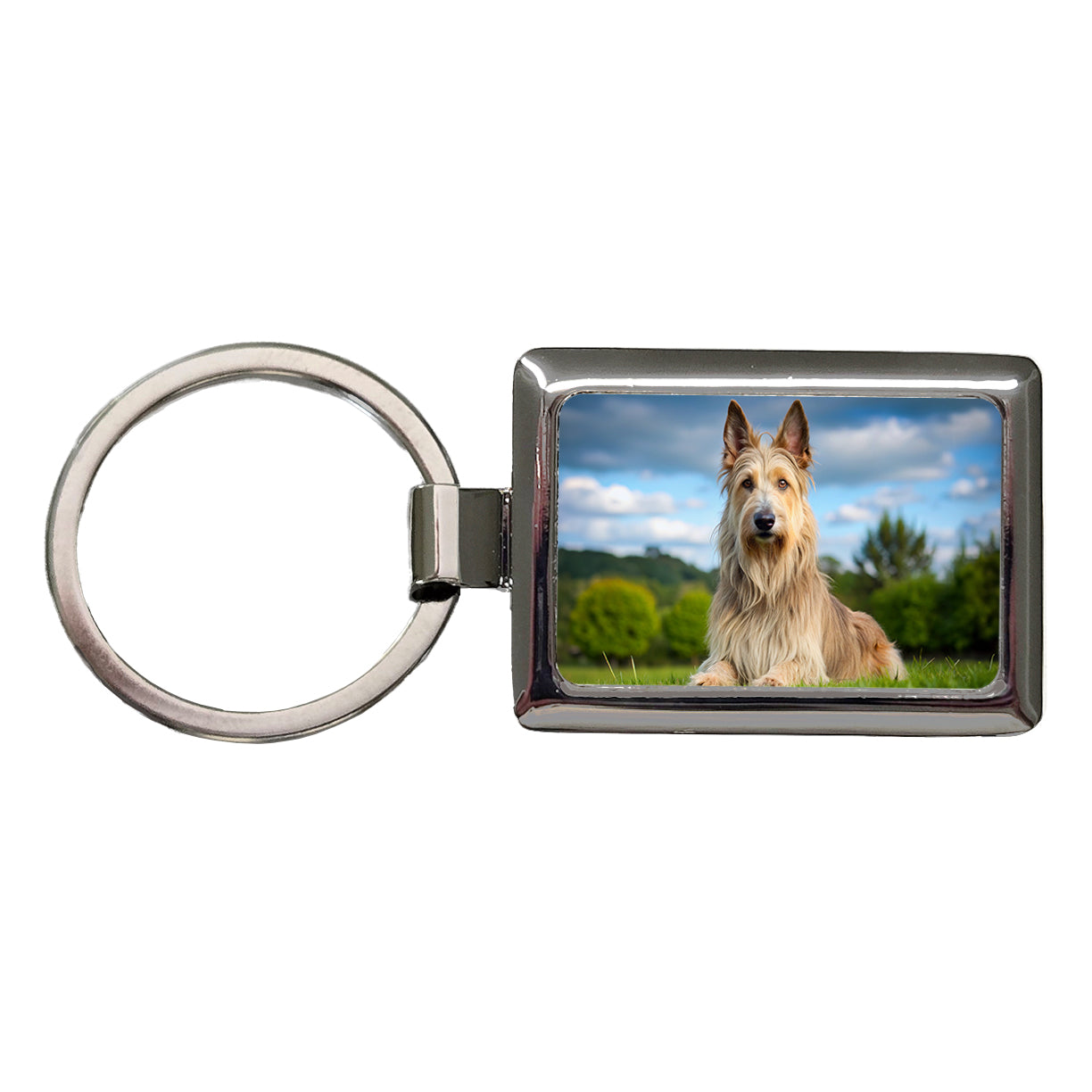Berger Picard Dog Photo Rectangle Metal Keychain