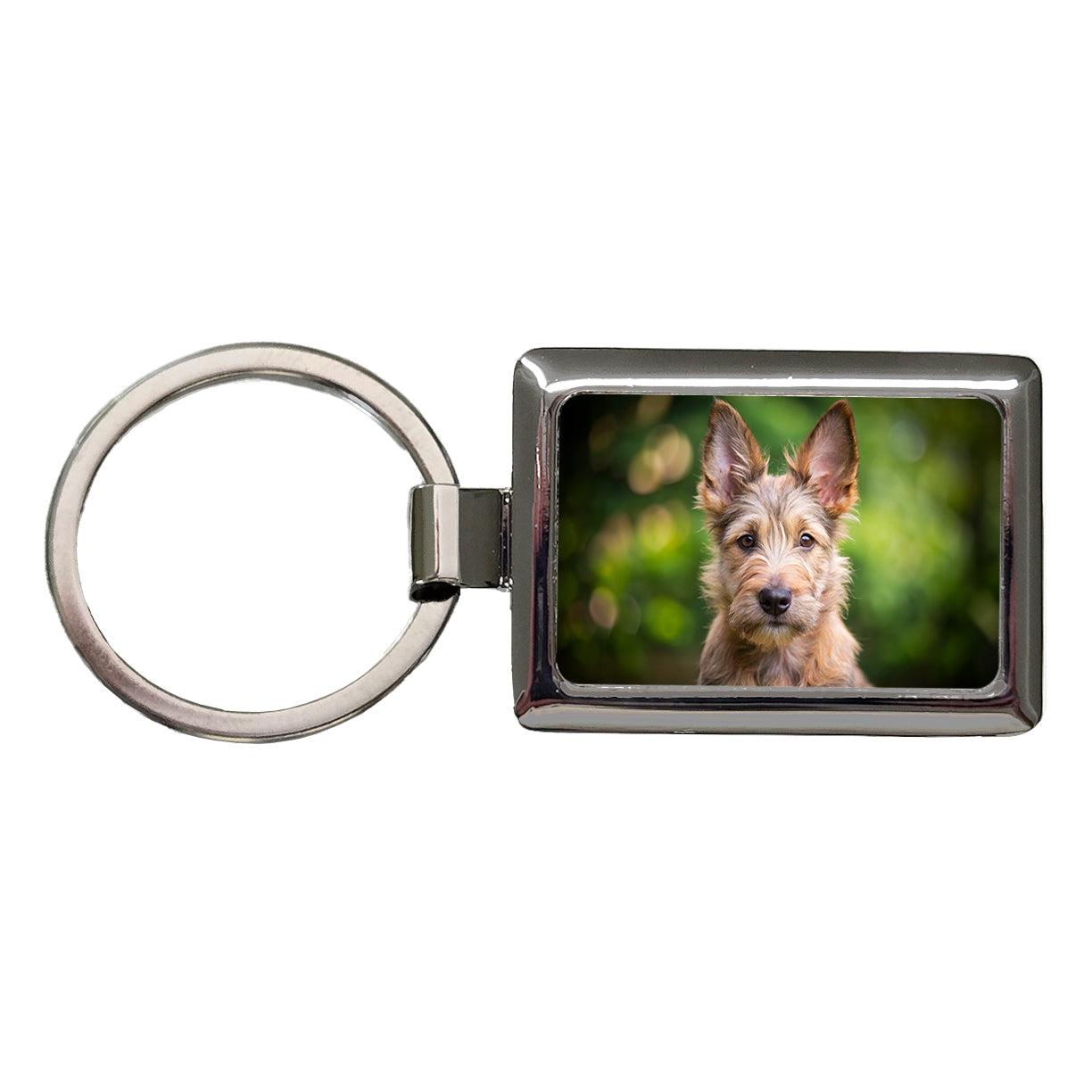 Berger Picard Dog Puppy Photo Rectangle Metal Keychain