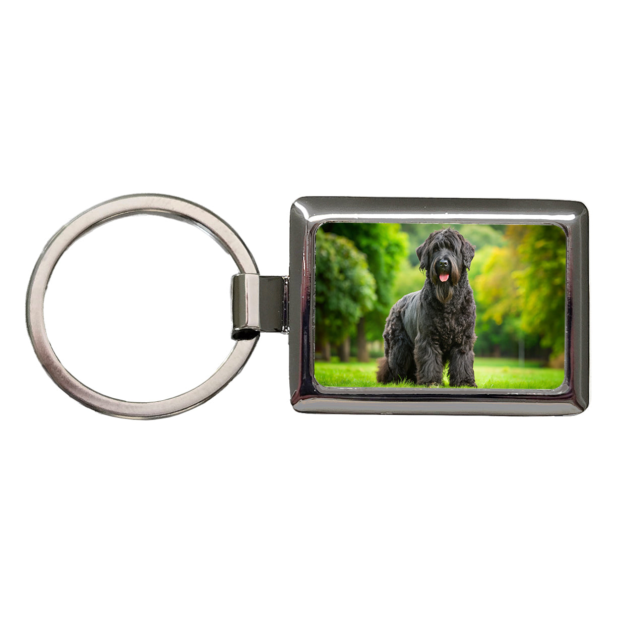 Black Russian Terrier Dog Photo Rectangle Metal Keychain