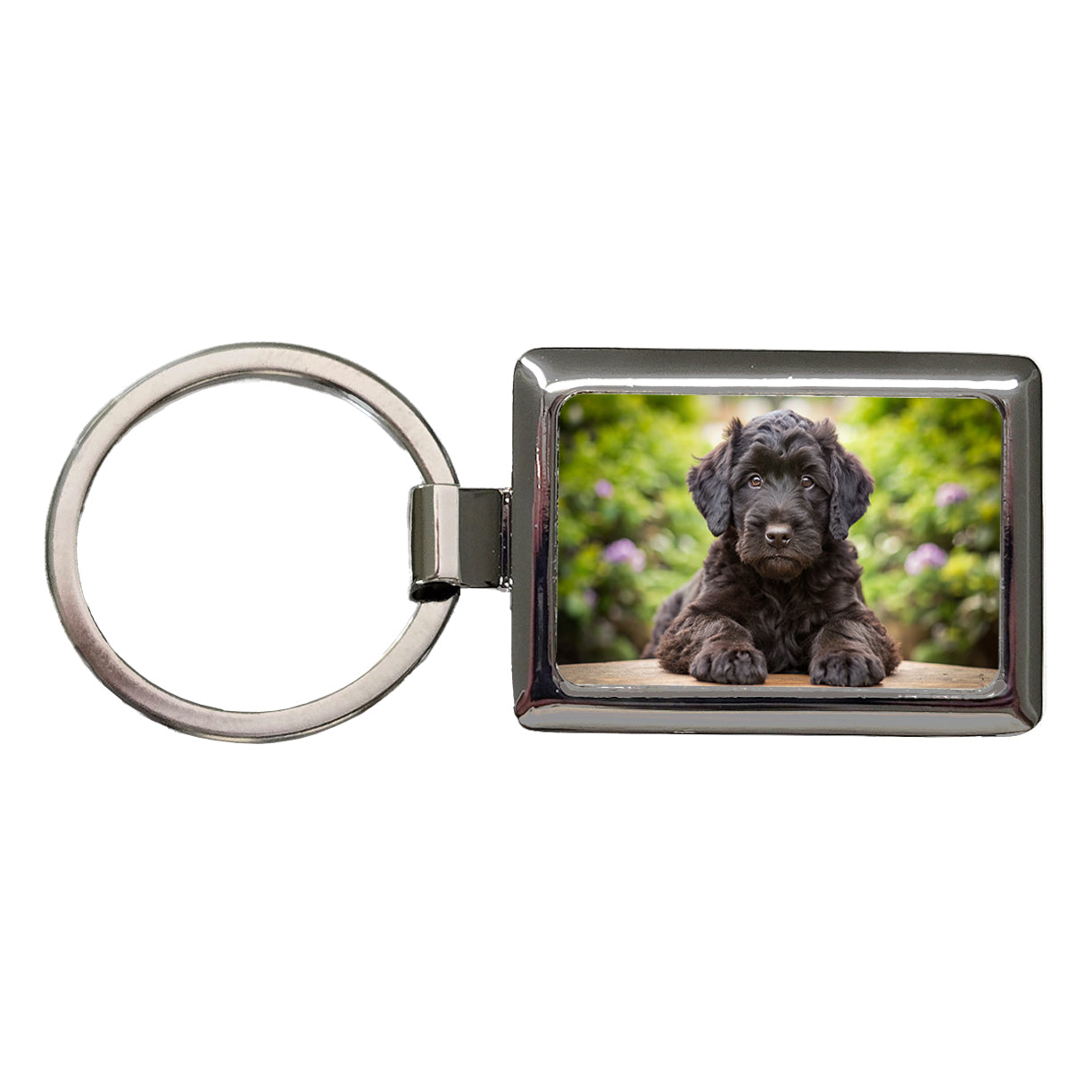 Black Russian Terrier Dog Puppy Photo Rectangle Metal Keychain