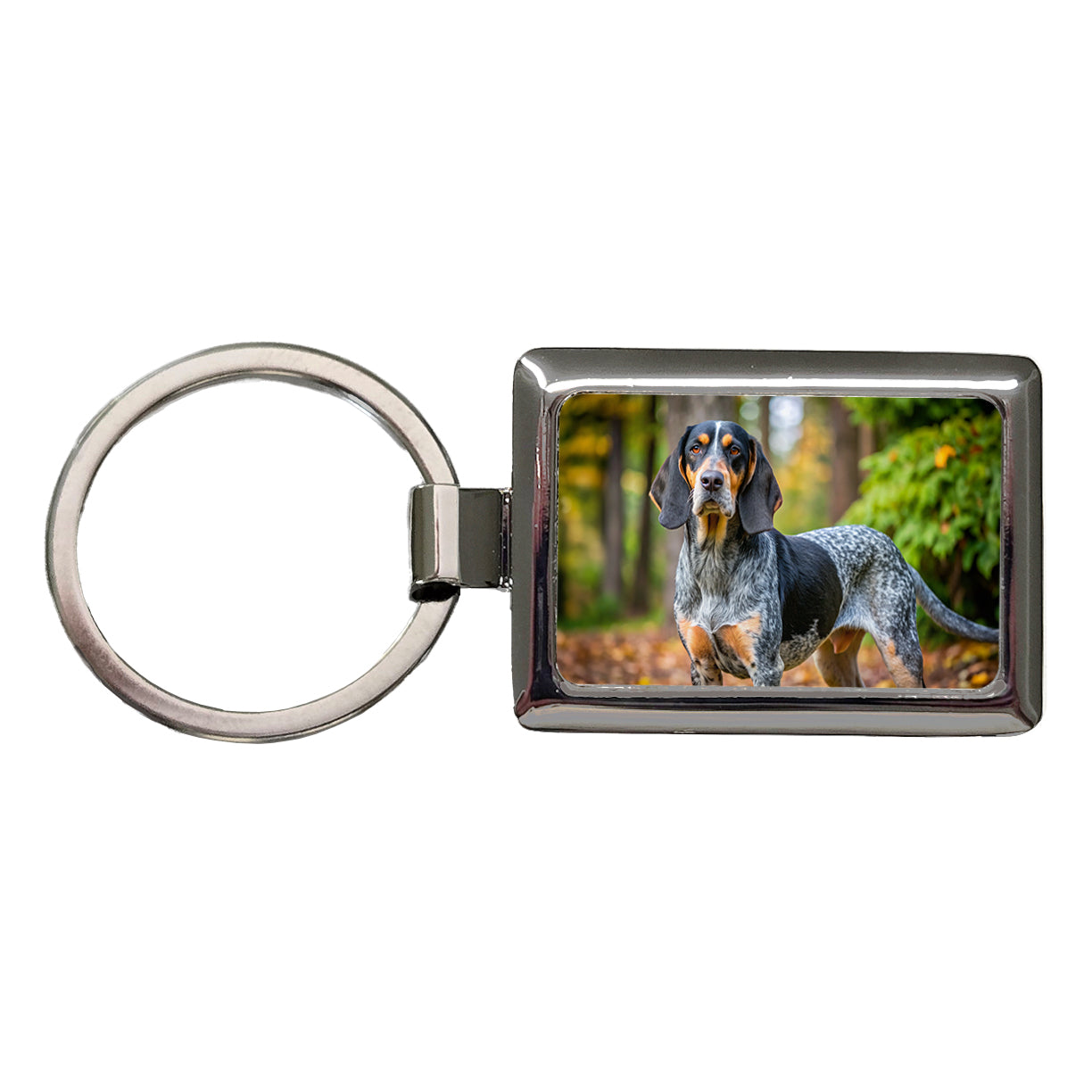 Bluetick Coonhound Dog Photo Rectangle Metal Keychain