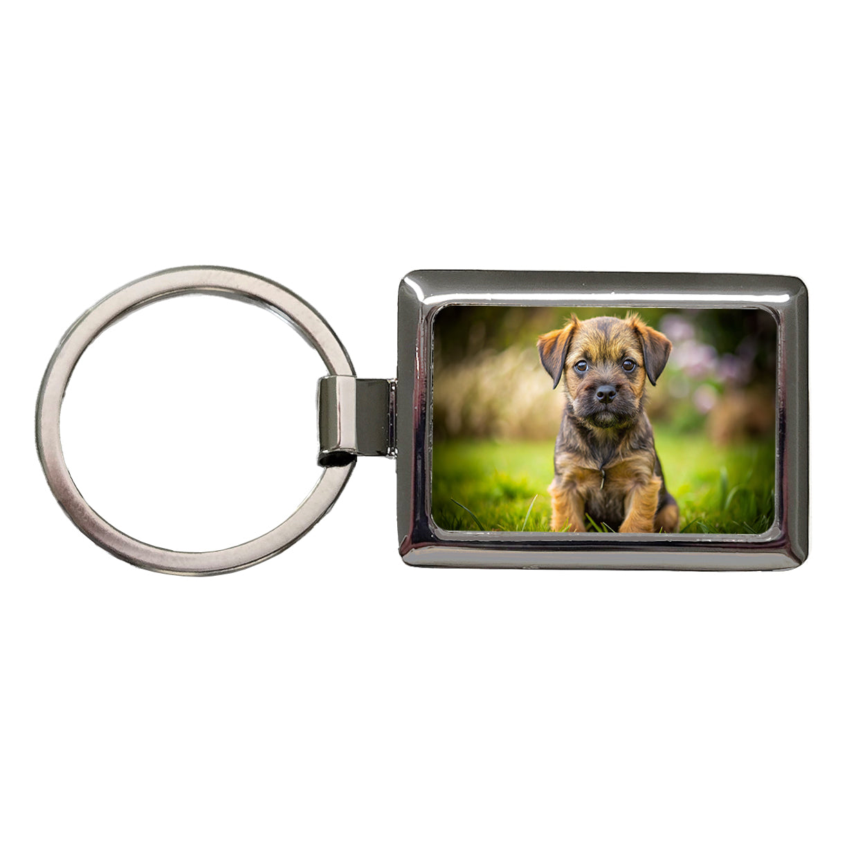 Border Terrier Dog Puppy Photo Rectangle Metal Keychain