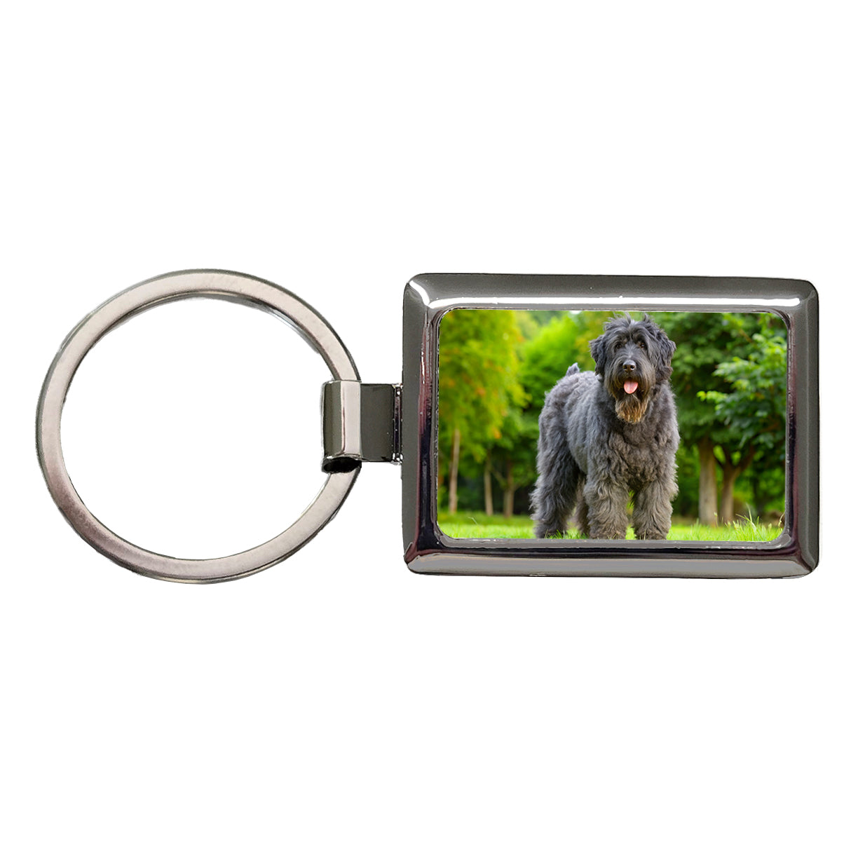 Bouviers Des Flandres Dog Photo Rectangle Metal Keychain