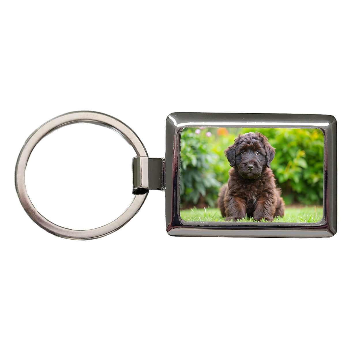 Bouviers Des Flandres Dog Puppy Photo Rectangle Metal Keychain