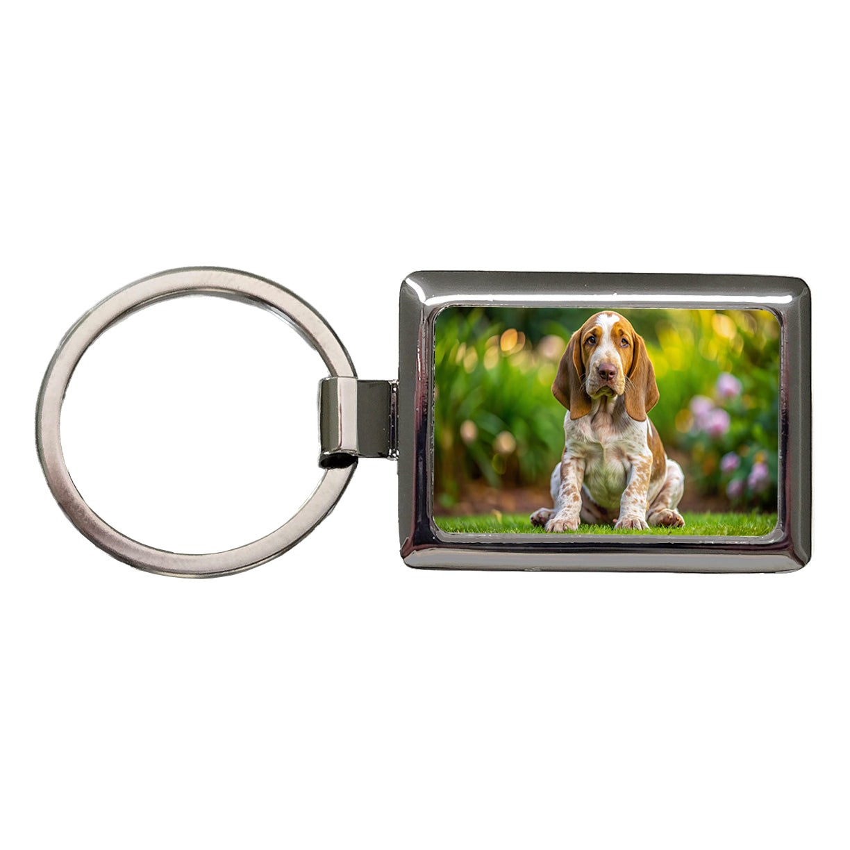 Bracco Italiano Dog Puppy Photo Rectangle Metal Keychain