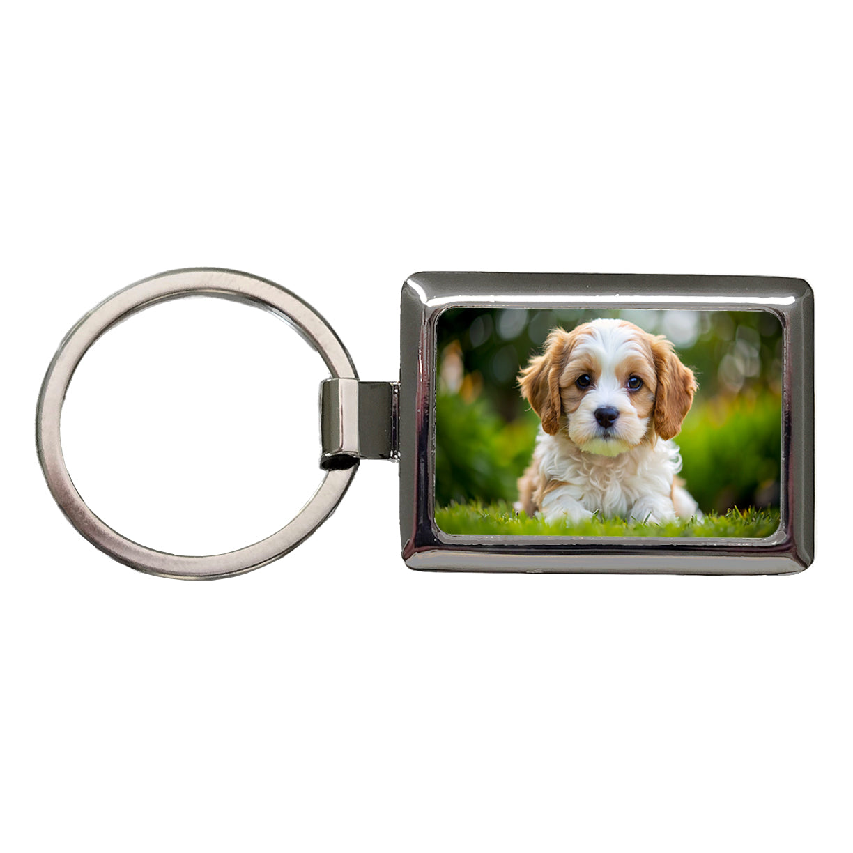 Cavachon Dog Puppy Photo Rectangle Metal Keychain