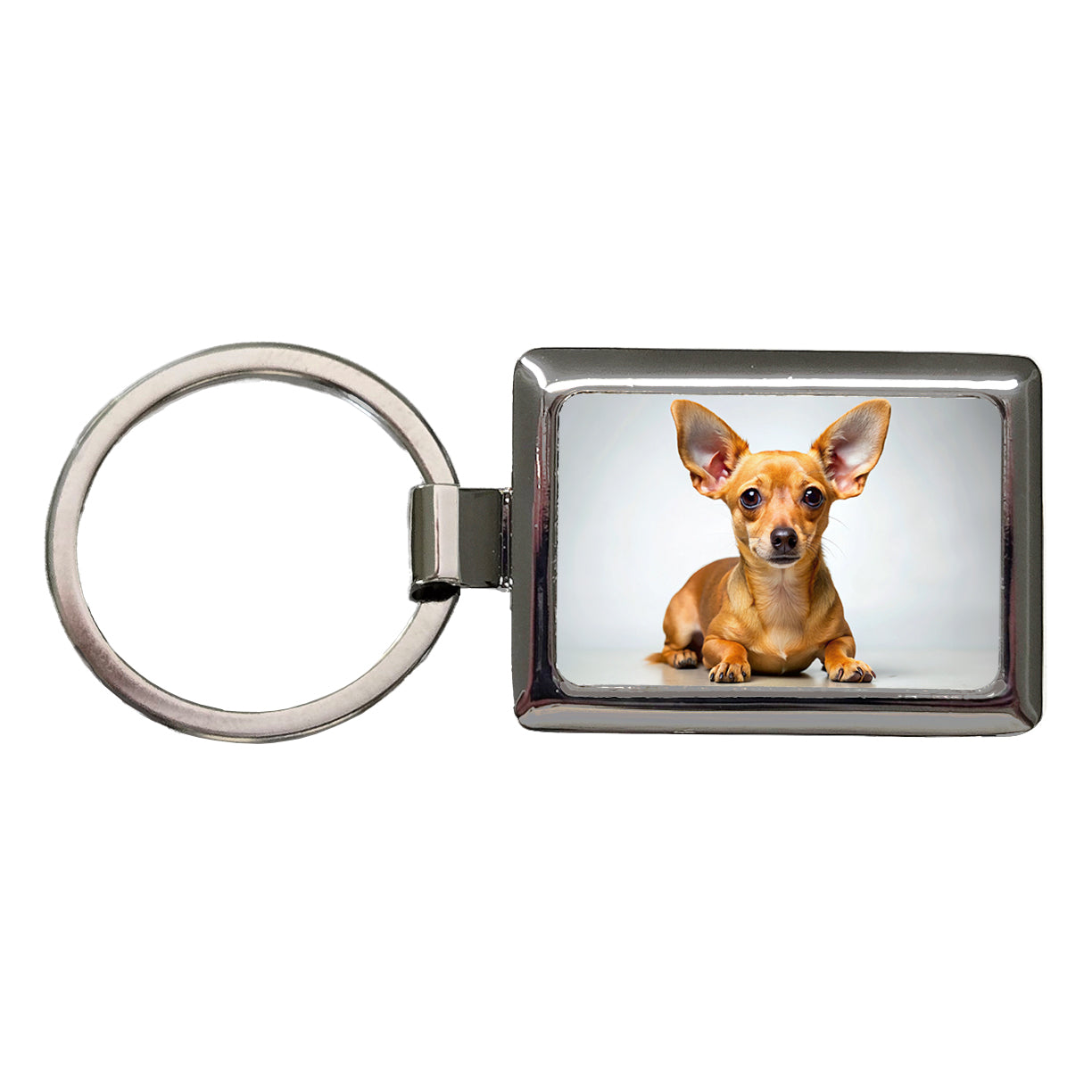 Chiweenie Dog Photo Rectangle Metal Keychain