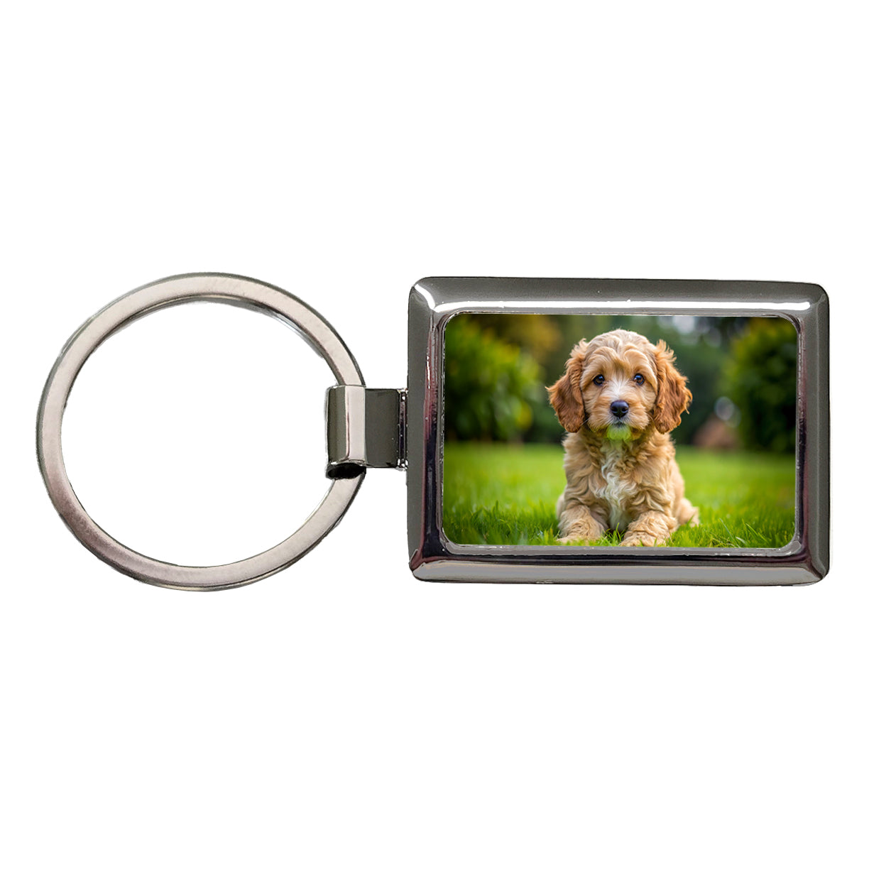 Cockapoo Dog Puppy Photo Rectangle Metal Keychain