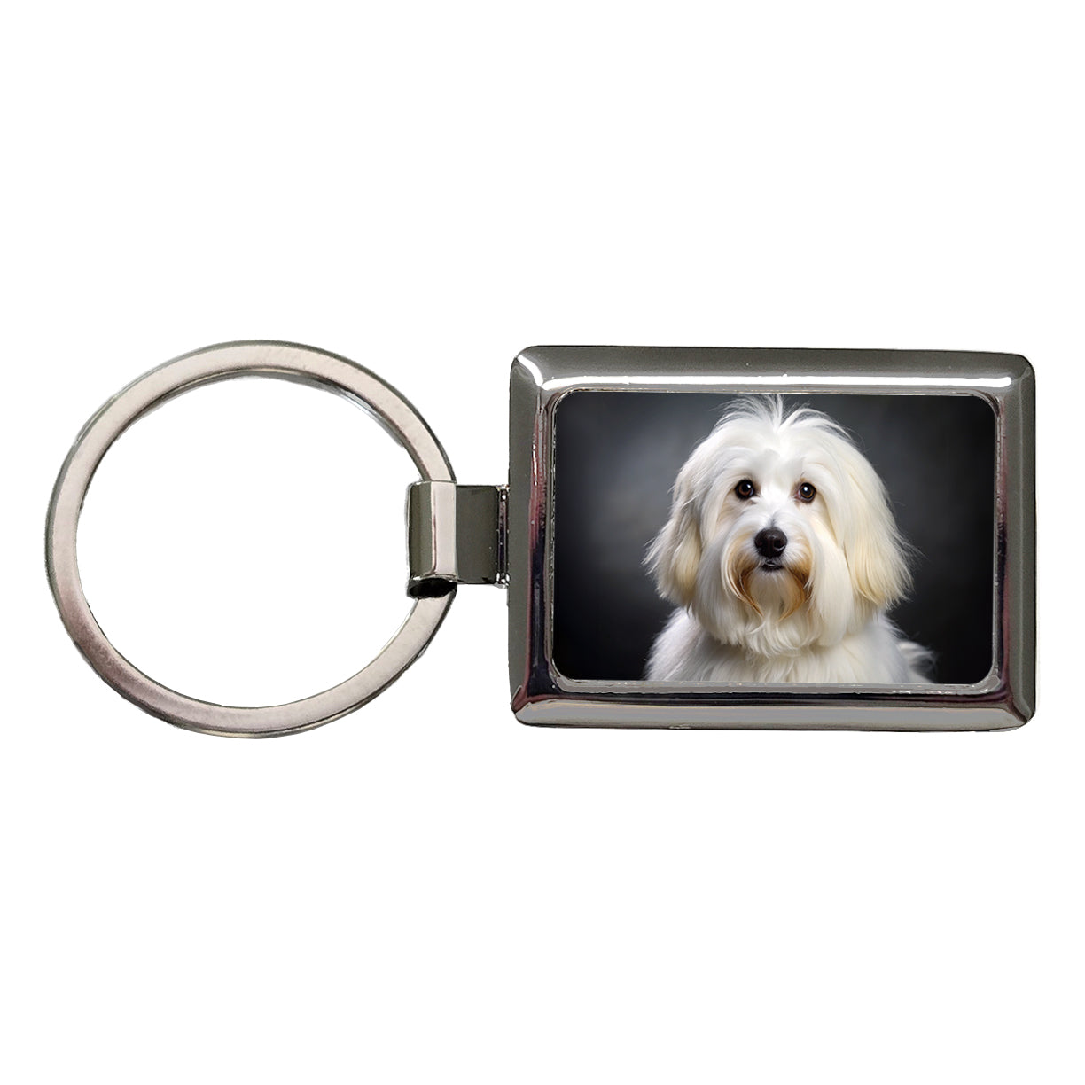 Coton De Tulear Dog Photo Rectangle Metal Keychain