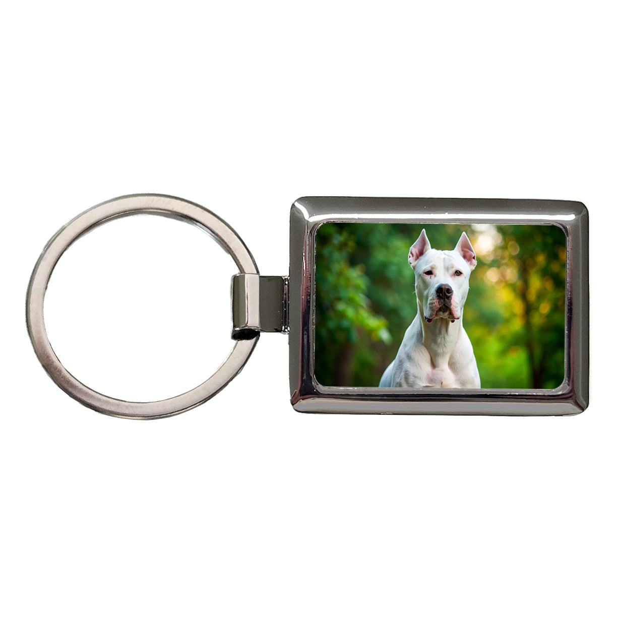 Dogo Argentino Dog Photo Rectangle Metal Keychain