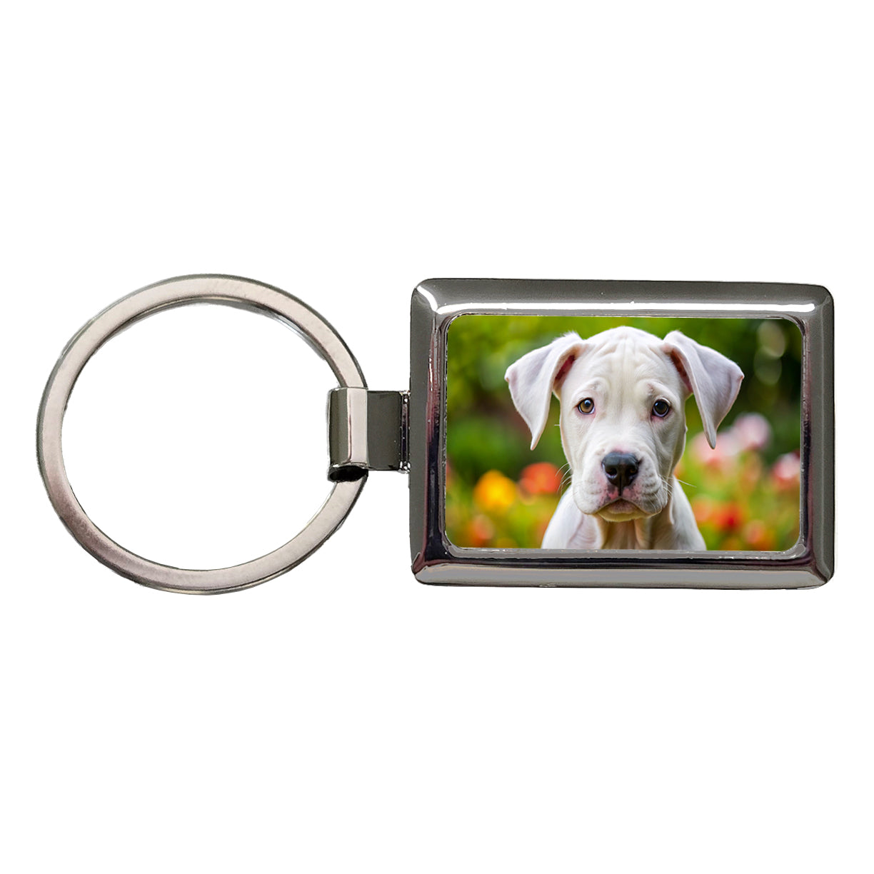 Dogo Argentino Dog Puppy Photo Rectangle Metal Keychain