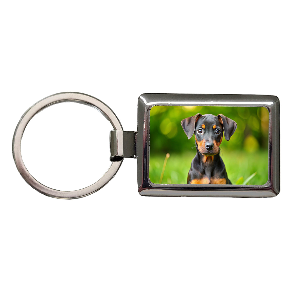 German Pinscher Dog Puppy Photo Rectangle Metal Keychain
