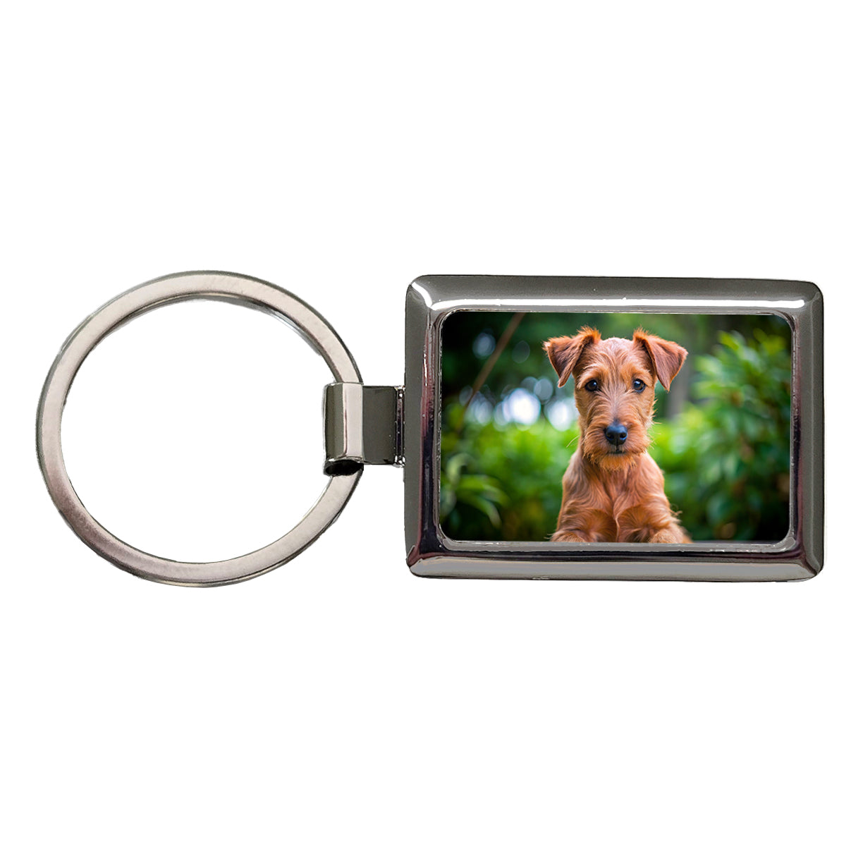 Irish Terrier Dog Puppy Photo Rectangle Metal Keychain
