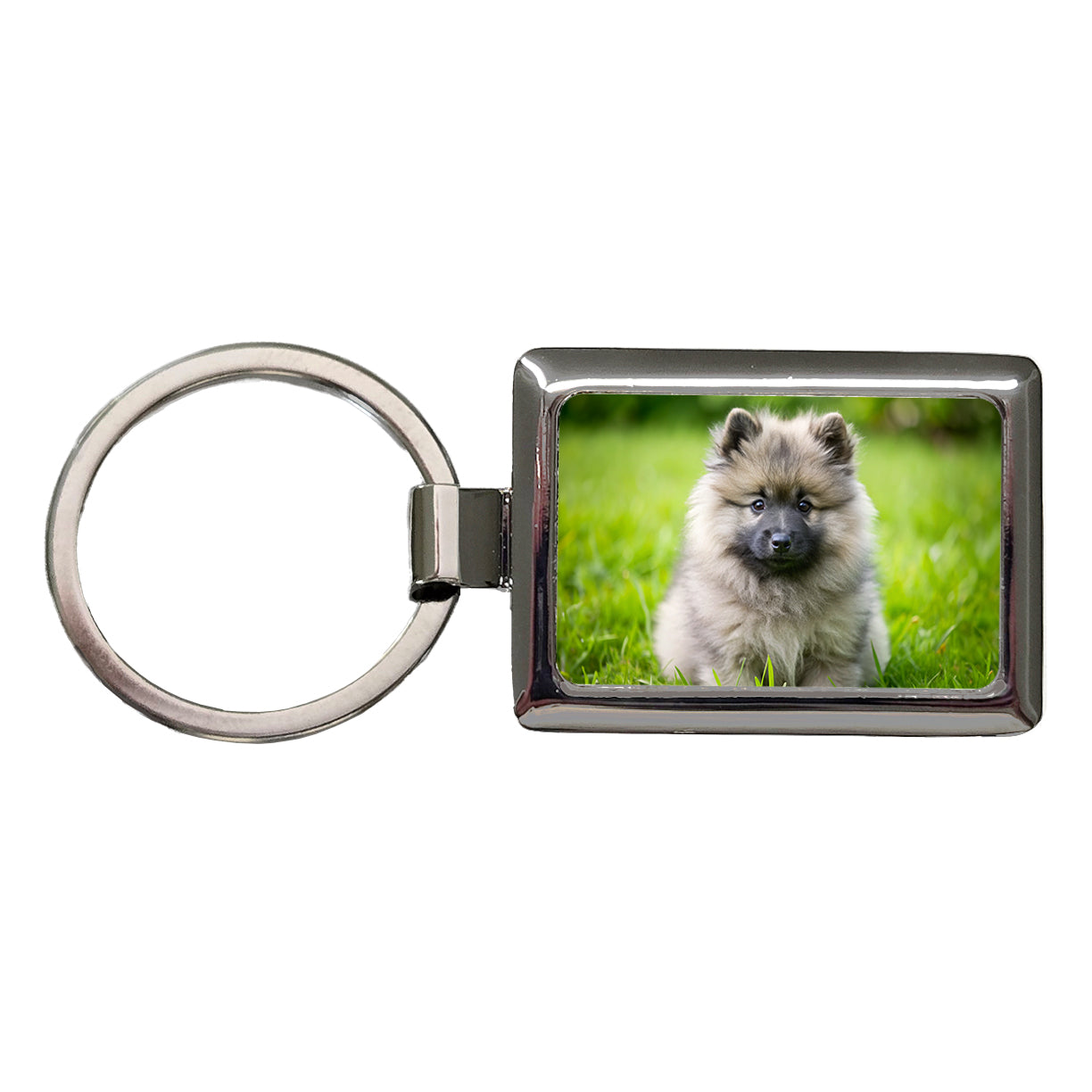 Keeshond Dog Puppy Photo Rectangle Metal Keychain