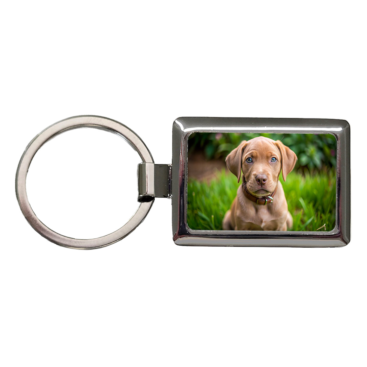 Labrabull Dog Puppy Photo Rectangle Metal Keychain