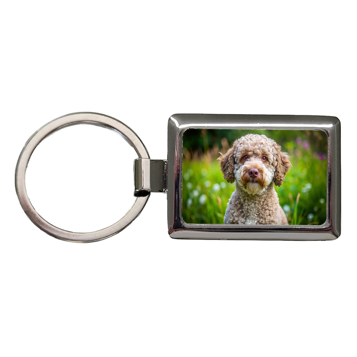 Lagotto Romagnolo Dog Photo Rectangle Metal Keychain