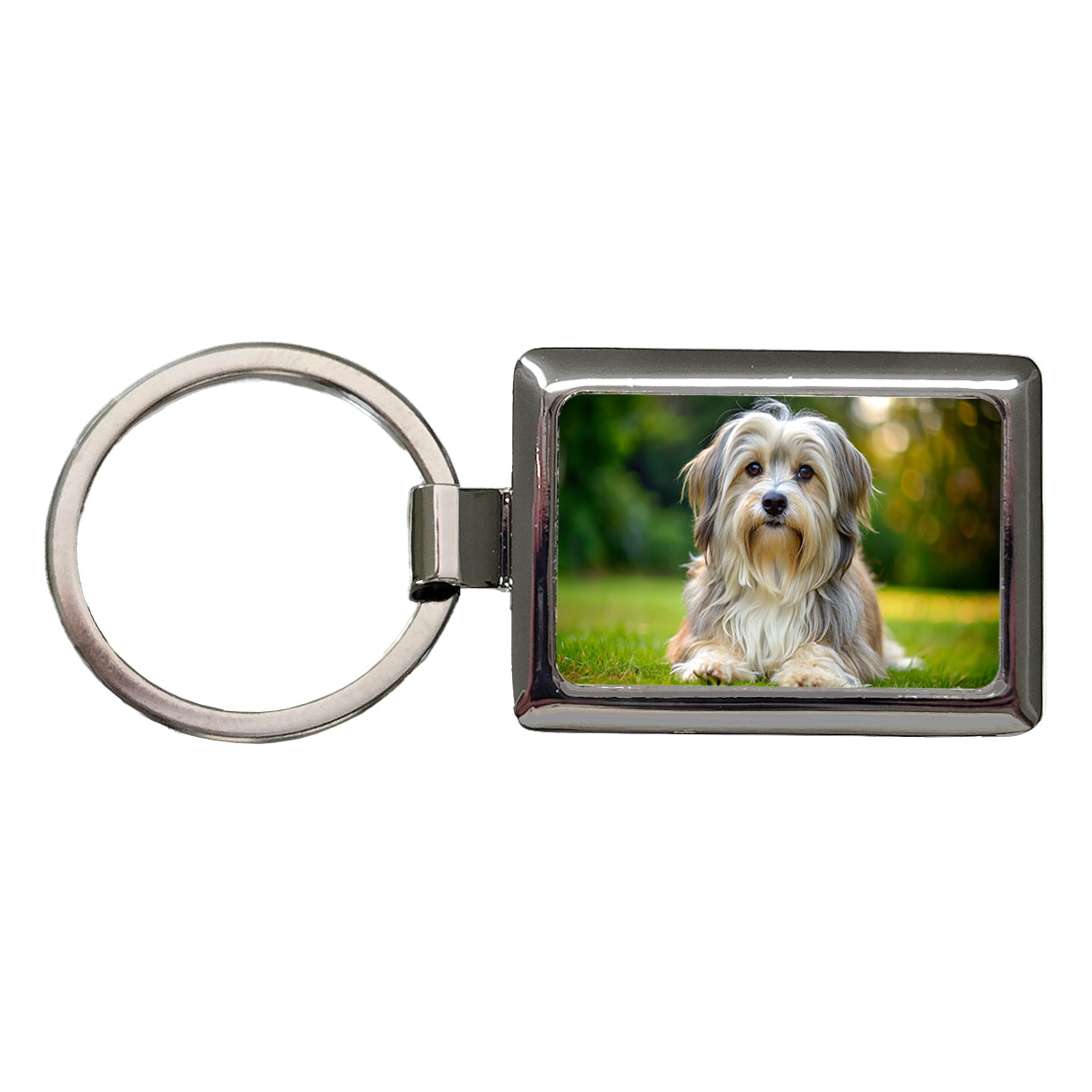 Lowchen Little Lion Dog Photo Rectangle Metal Keychain