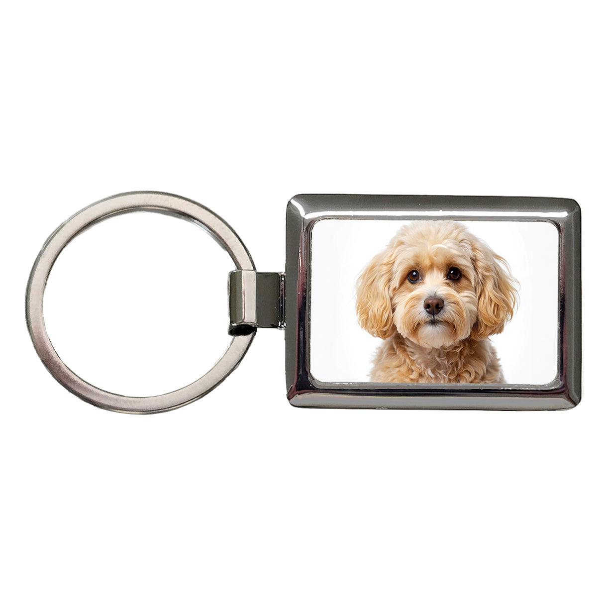 Maltipoo Dog Photo Rectangle Metal Keychain