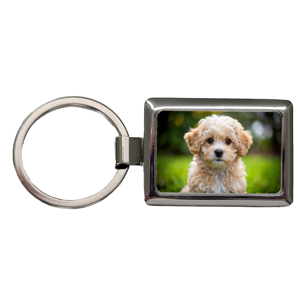 Maltipoo Dog Puppy Photo Rectangle Metal Keychain