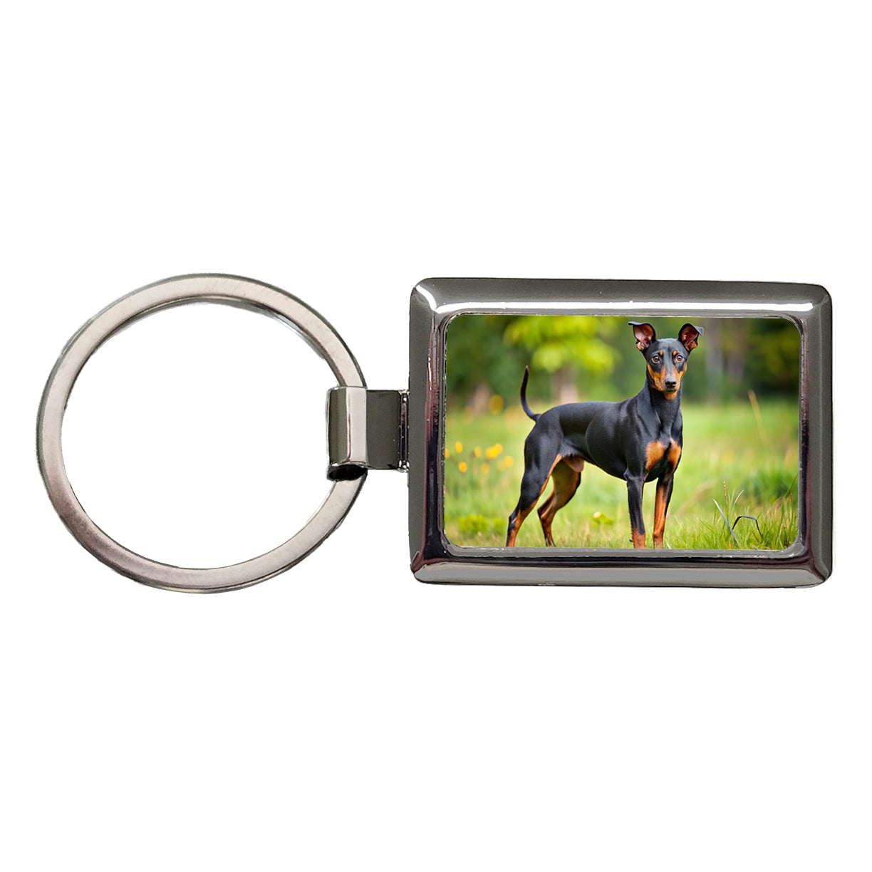 Manchester Terrier Dog Photo Rectangle Metal Keychain