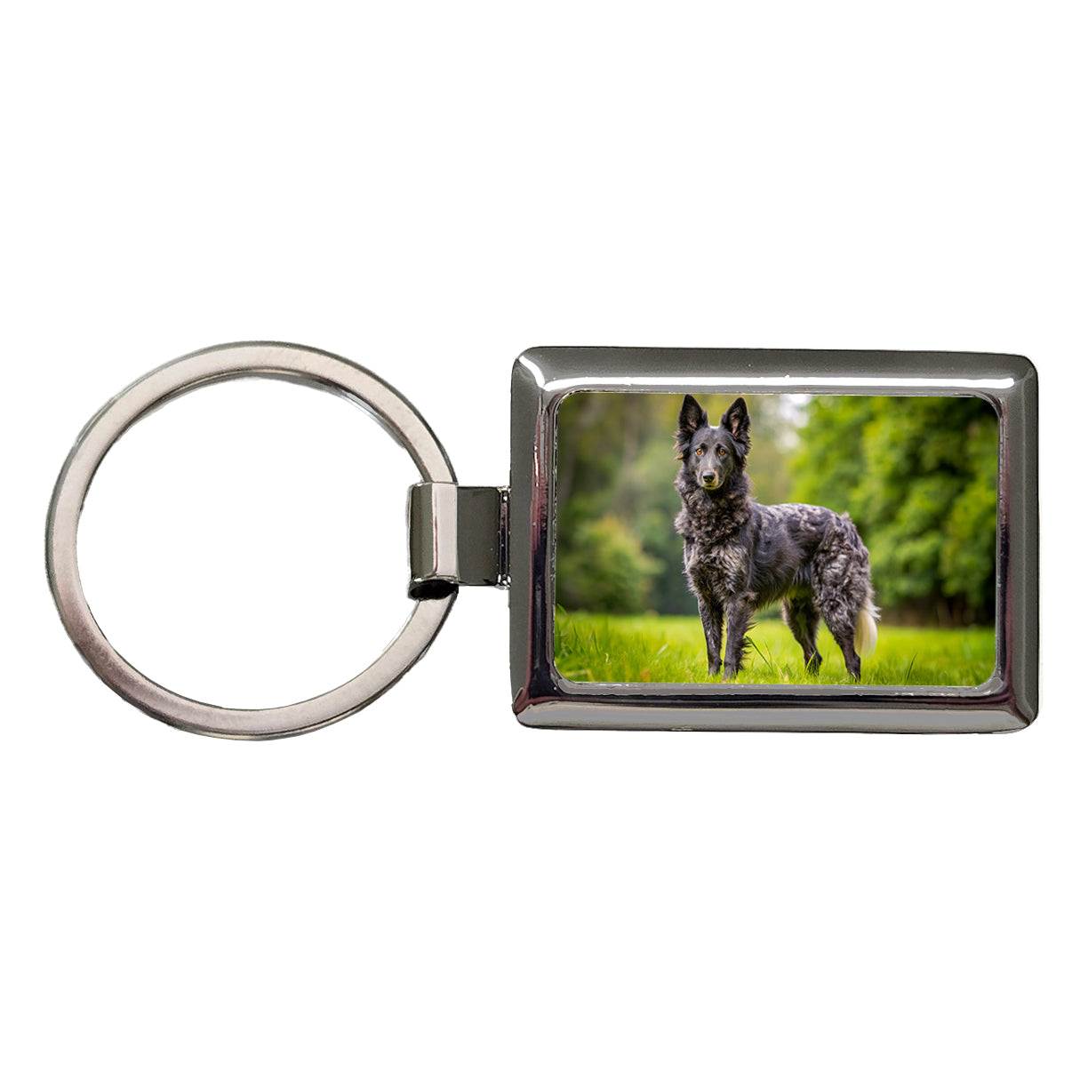 Mudi Dog Photo Rectangle Metal Keychain
