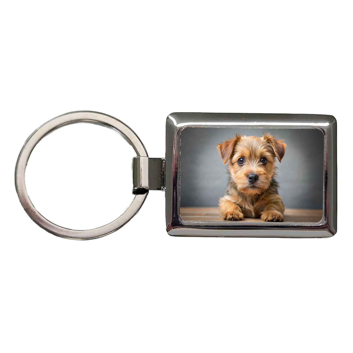 Norfolk Terrier Dog Puppy Photo Rectangle Metal Keychain