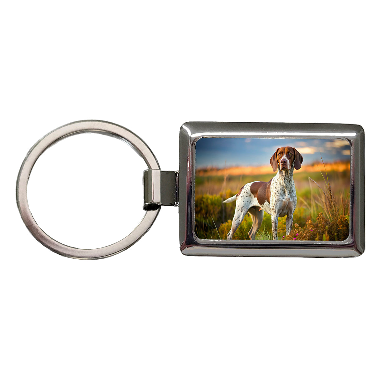 Pointer Dog Photo Rectangle Metal Keychain
