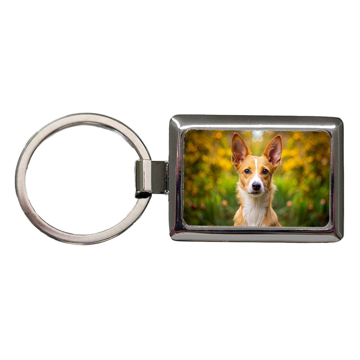 Portuguese Podengo Pequeno Dog Photo Rectangle Metal Keychain
