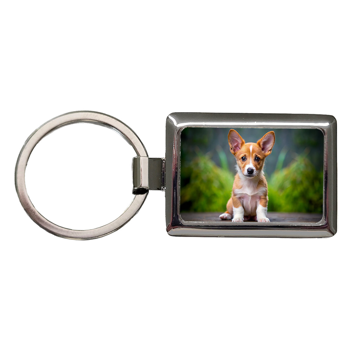 Portuguese Podengo Pequeno Dog Puppy Photo Rectangle Metal Keychain