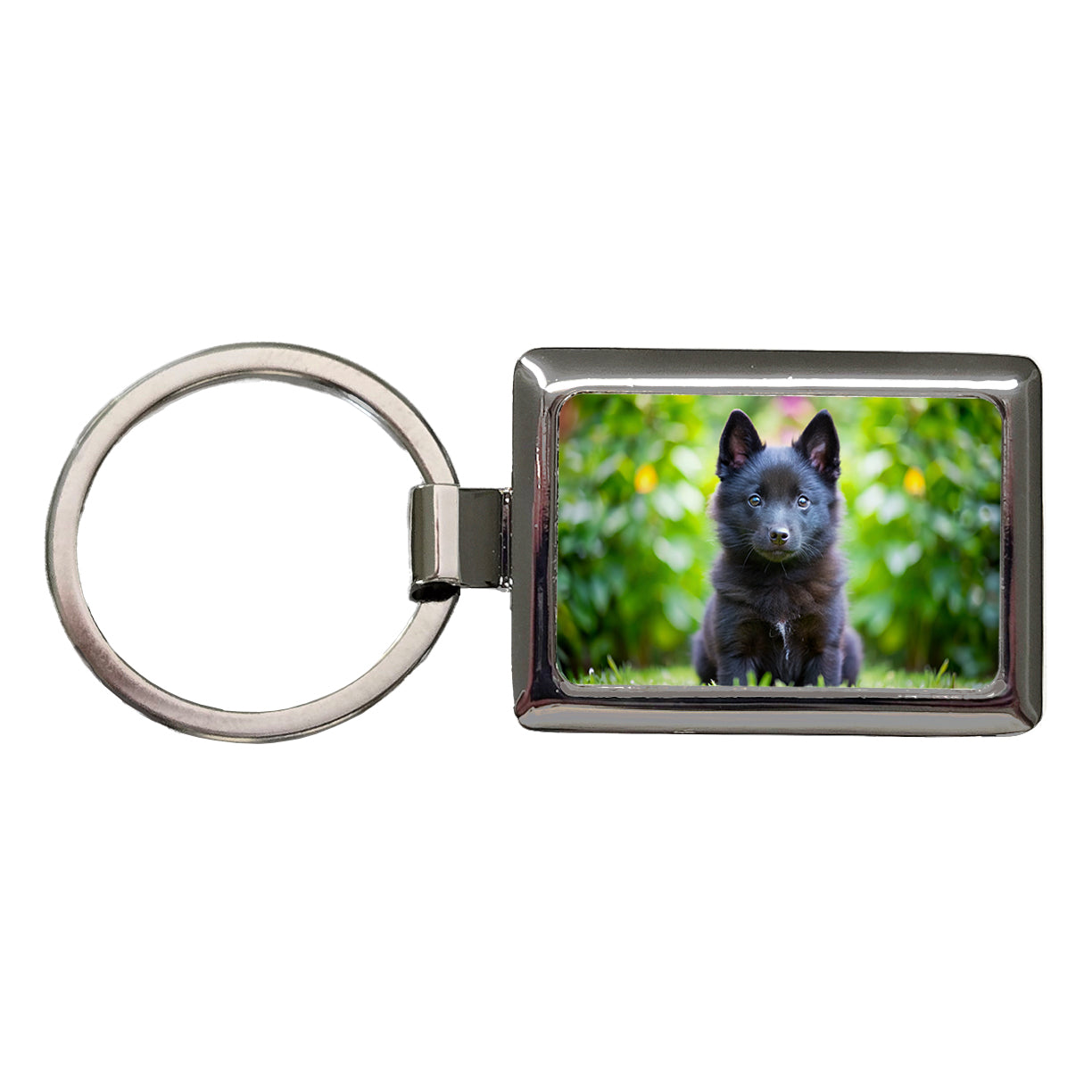Schipperke Dog Puppy Photo Rectangle Metal Keychain