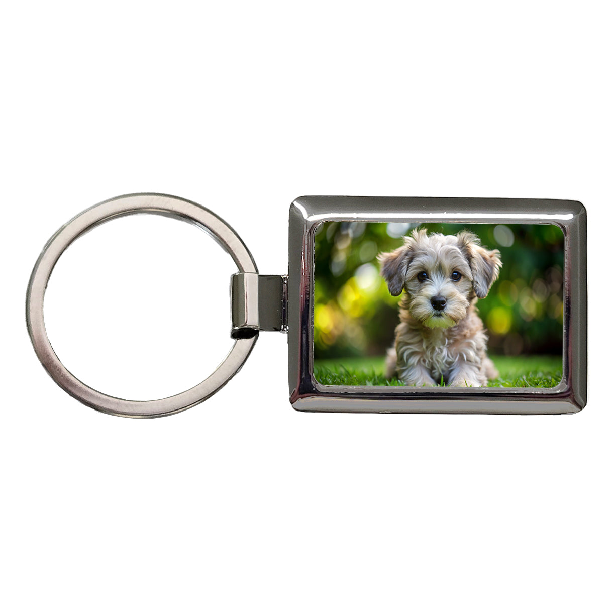 Schnoodle Dog Puppy Photo Rectangle Metal Keychain