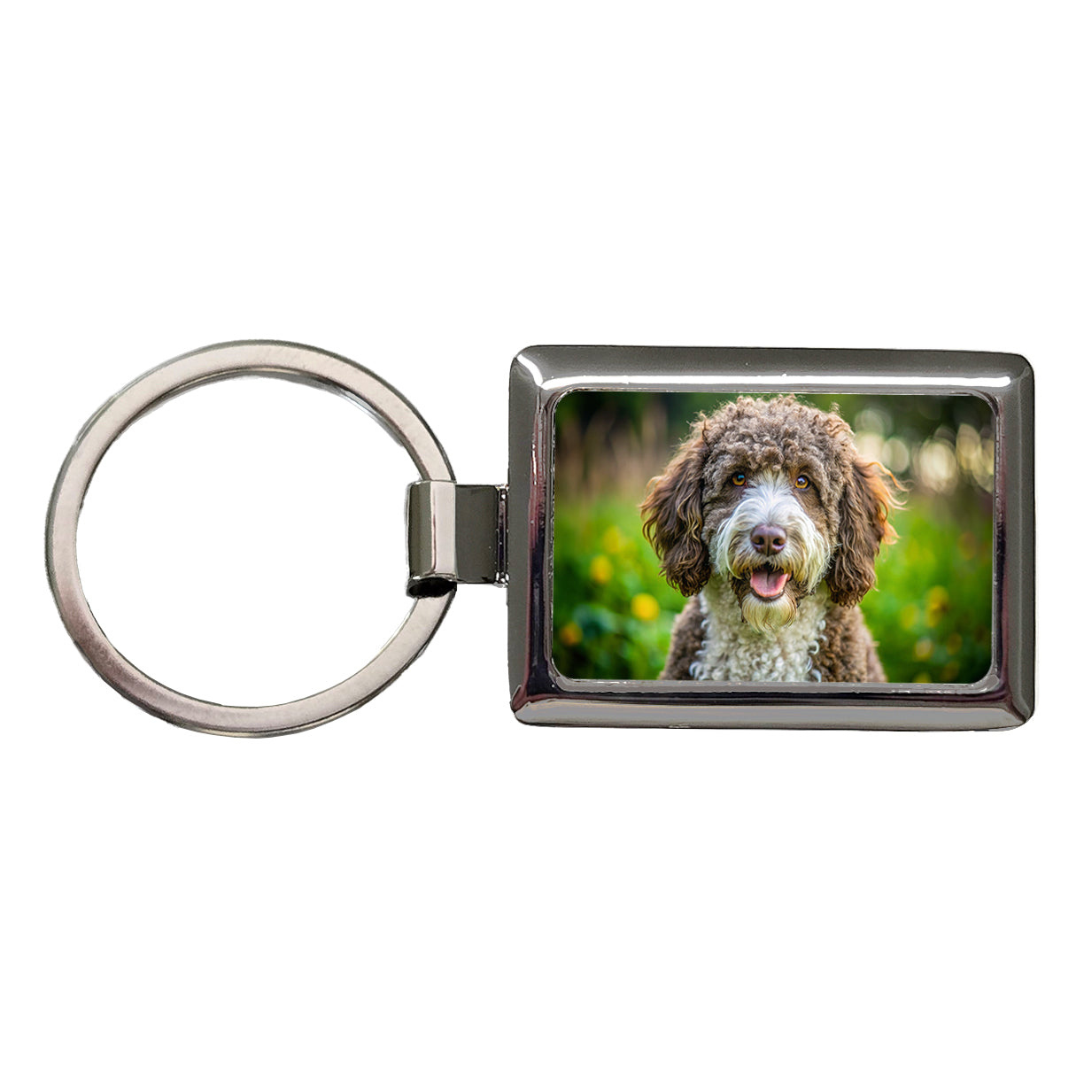 Spanish Water Dog Photo Rectangle Metal Keychain