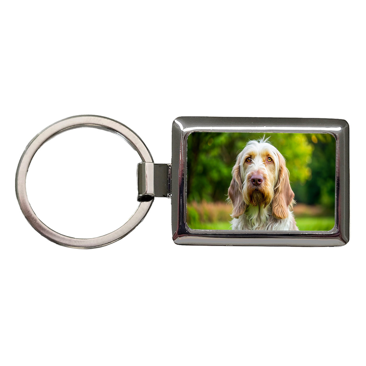 Spinone Italiano Dog Photo Rectangle Metal Keychain