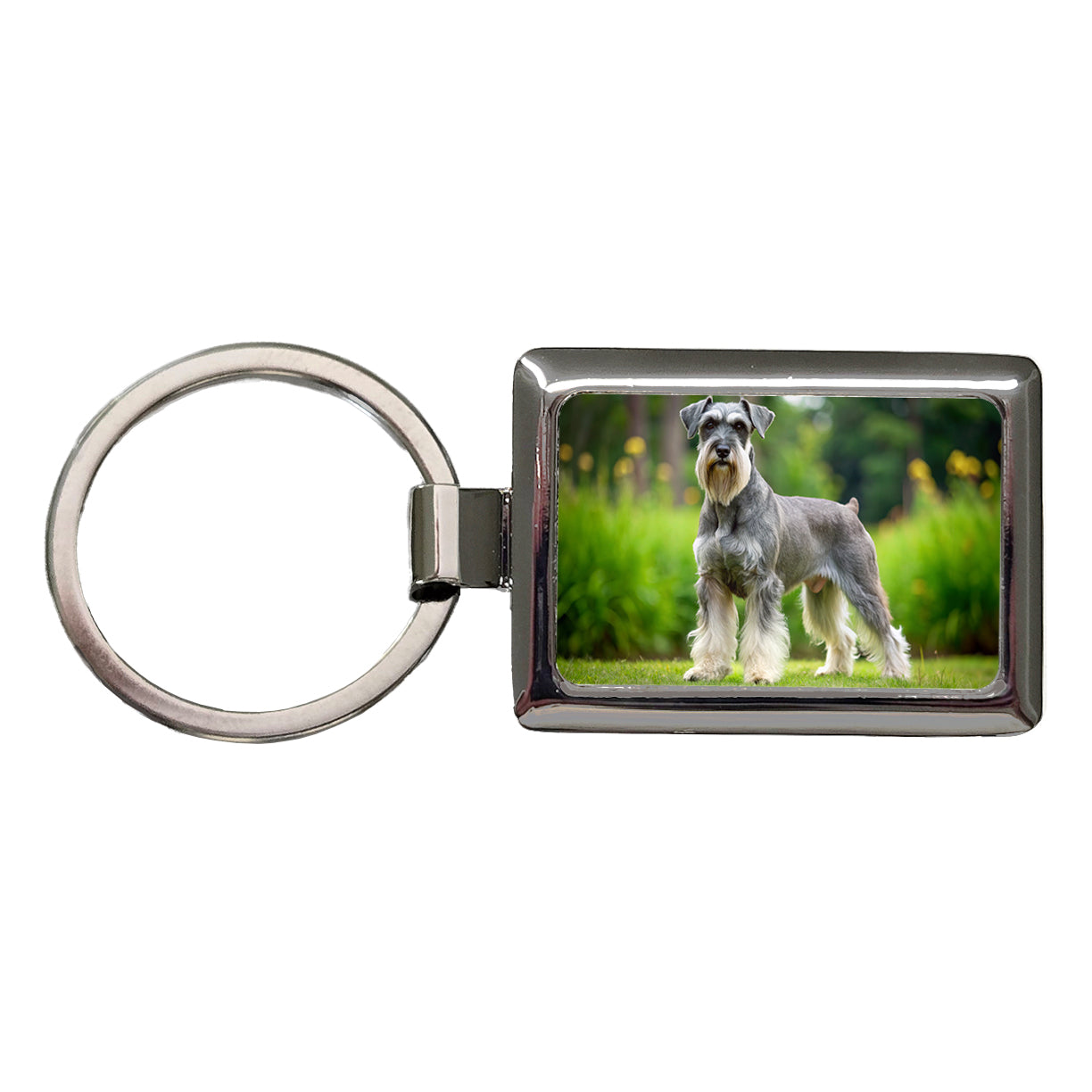 Standard Schnauzer Dog Photo Rectangle Metal Keychain