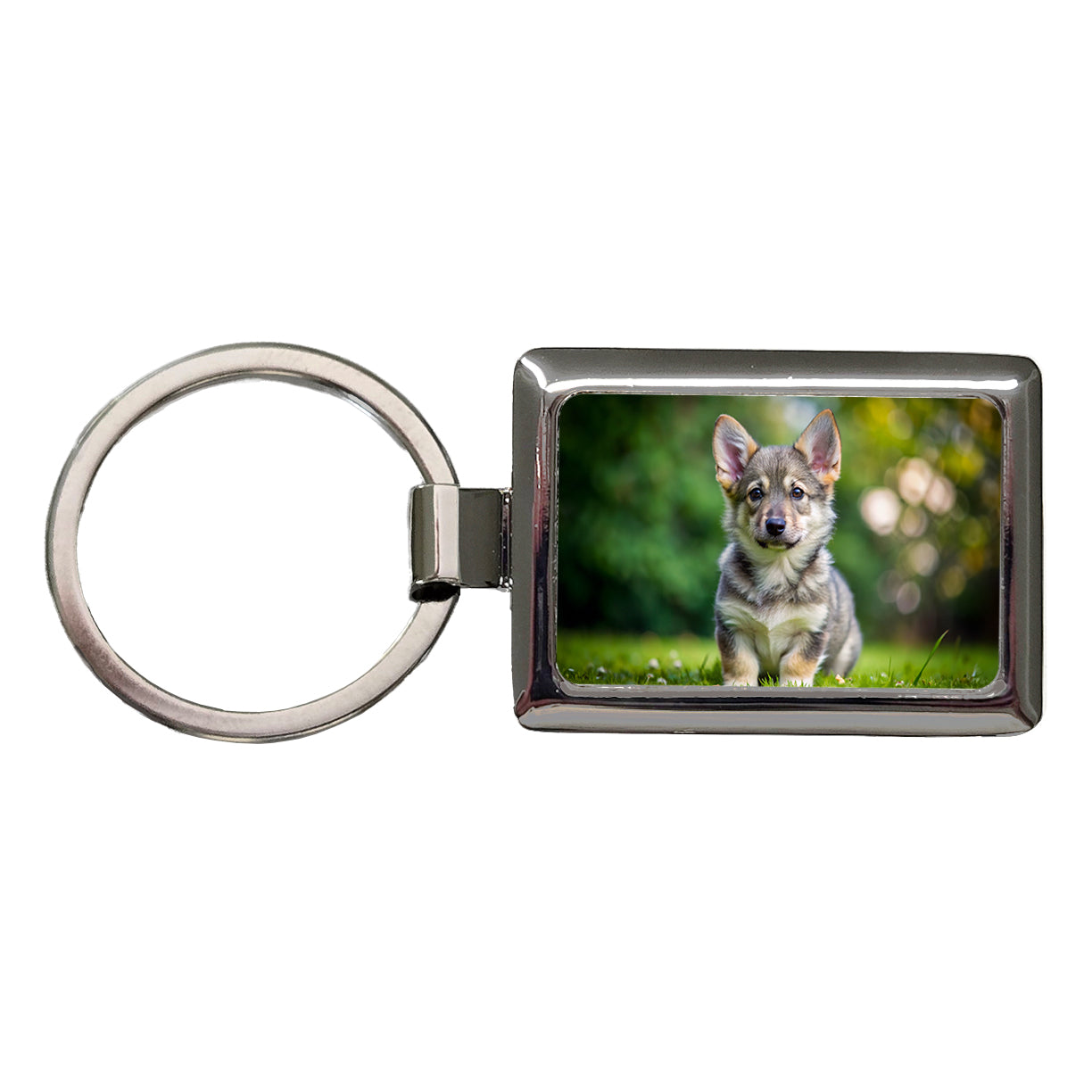 Swedish Vallhund Dog Puppy Photo Rectangle Metal Keychain