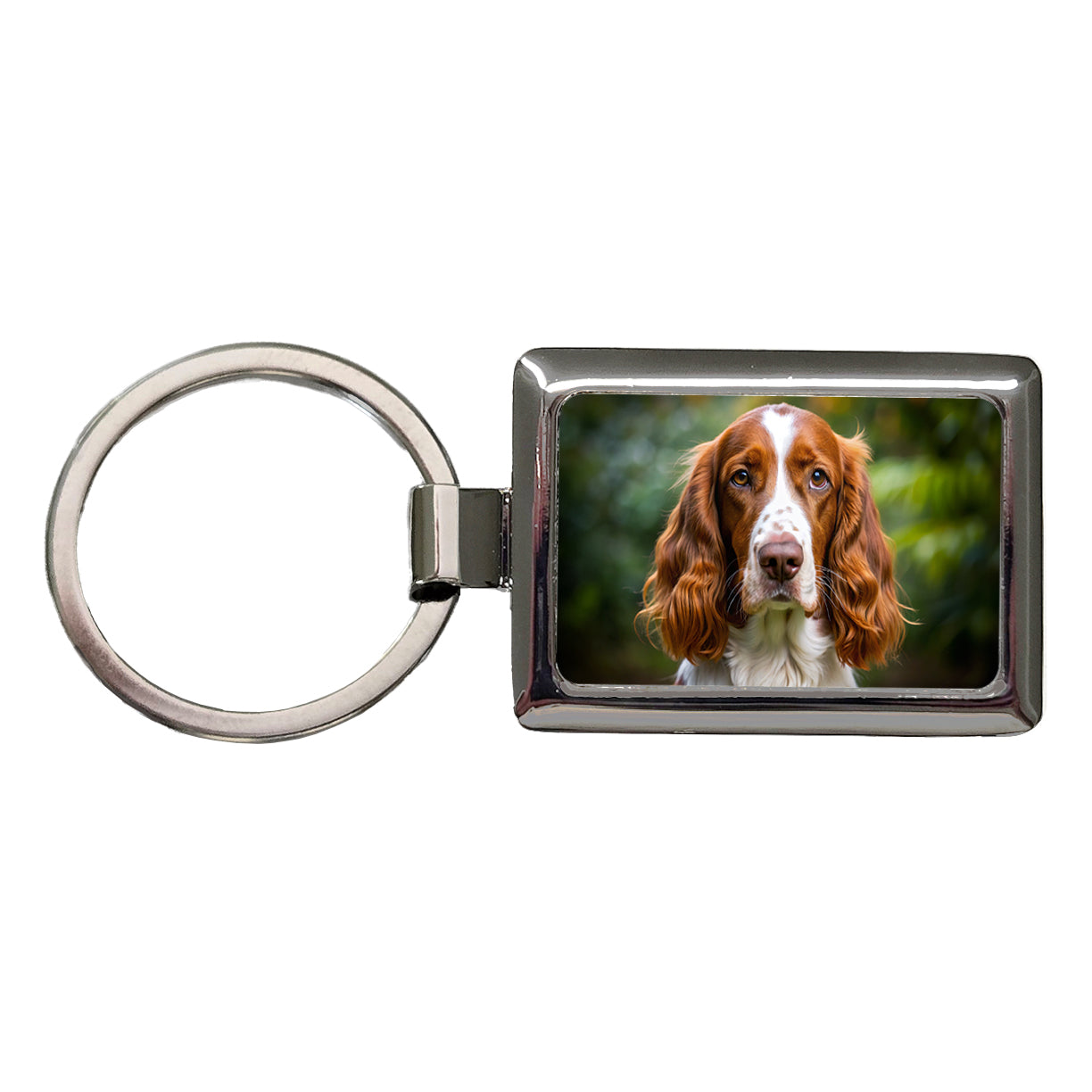 Welsh Springer Spaniel Dog Photo Rectangle Metal Keychain