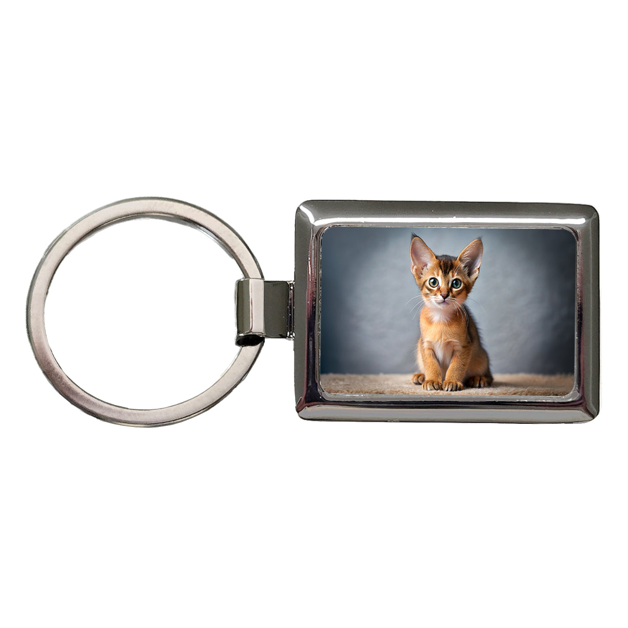 Abyssinian Cat Kitten Photo Rectangle Metal Keychain