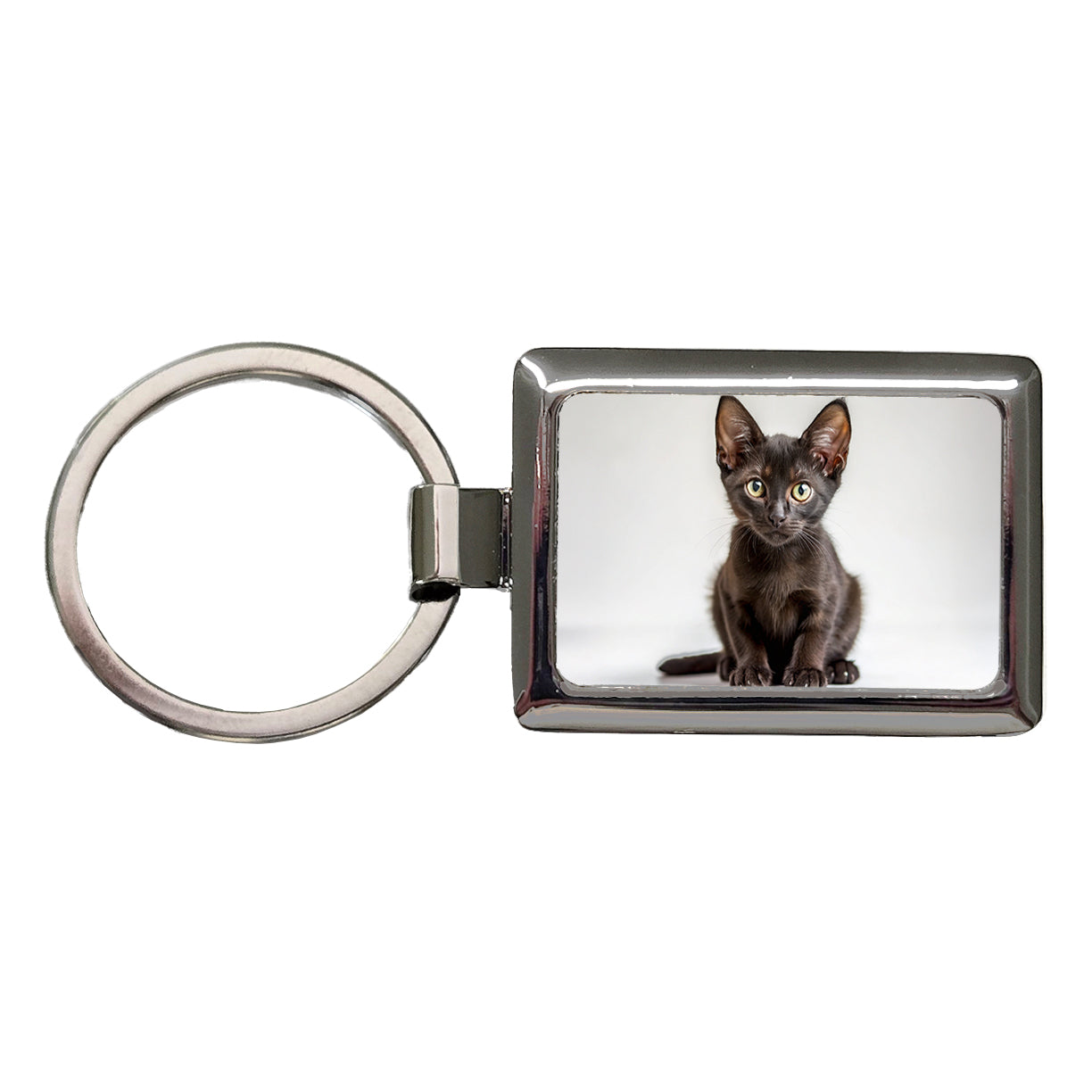 Bombay Black Cat Kitten Photo Rectangle Metal Keychain