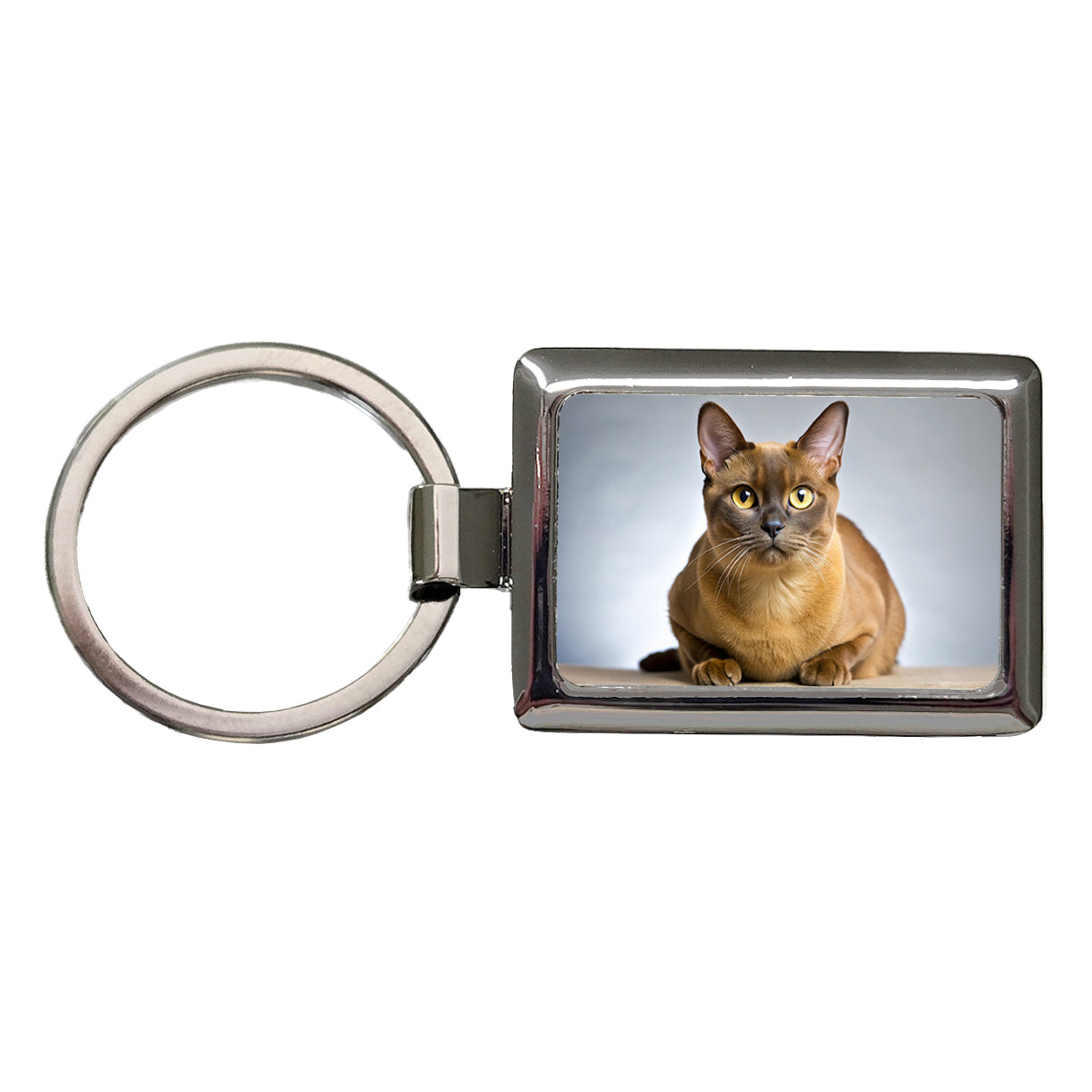 Burmese Cat Photo Rectangle Metal Keychain