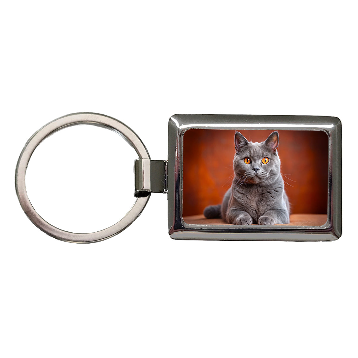 Chartreux Cat Photo Rectangle Metal Keychain