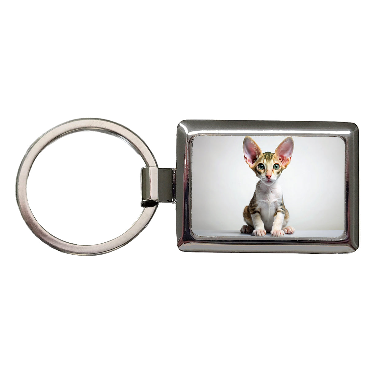 Cornish Rex Cat Kitten Photo Rectangle Metal Keychain