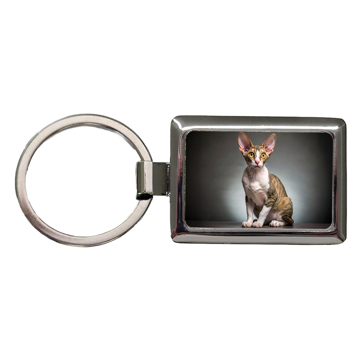 Cornish Rex Cat Photo Rectangle Metal Keychain