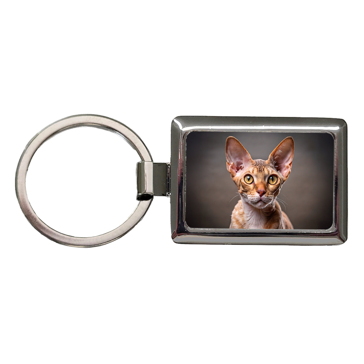 Devon Rex Cat Photo Rectangle Metal Keychain